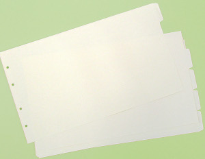 Certificate Card  Dividers set of Five Cream